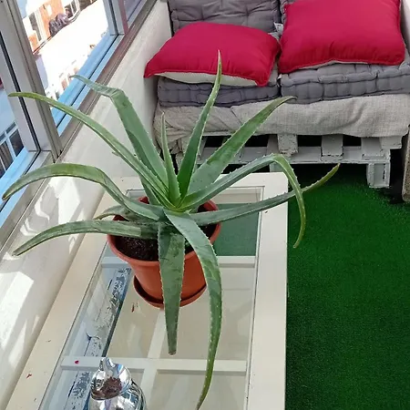 A Parada Da Ribeira Apartment Ourense