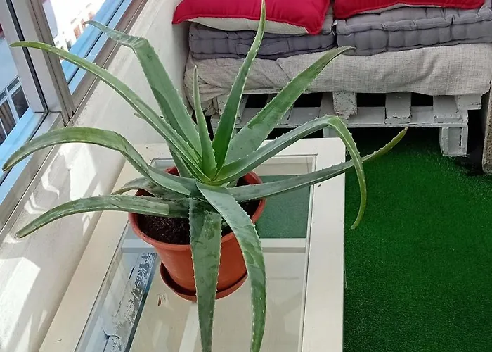 A Parada Da Ribeira Apartmán Ourense